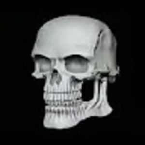 Meet your Posher, Bad to the bone